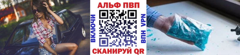 kraken ТОР  Злынка  А ПВП крисы CK 