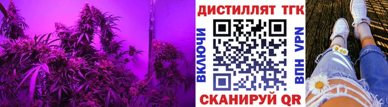 закладка  Злынка  мориарти формула  ТГК Wax 
