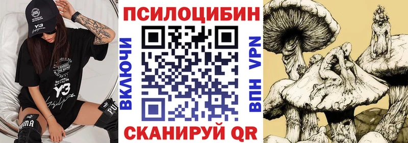 Псилоцибиновые грибы мицелий  даркнет сайт  Злынка 